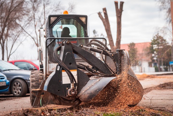 An image of Stump Removal in Cheyenne, WY